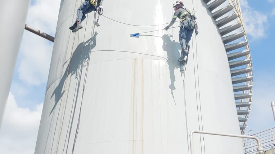 WhatsApp Image 2024-10-11 at 14.22.58 (1)