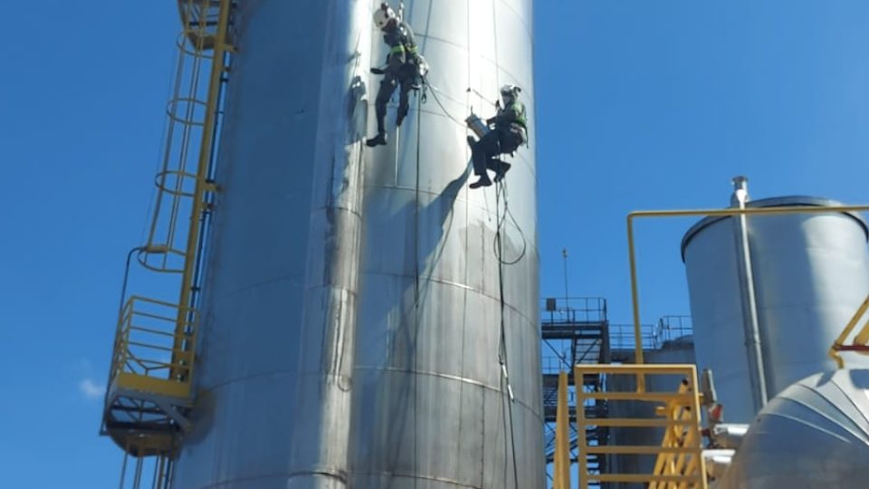 WhatsApp Image 2024-10-11 at 14.22.58